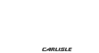 Logotipo de pie de página de Lion Precision