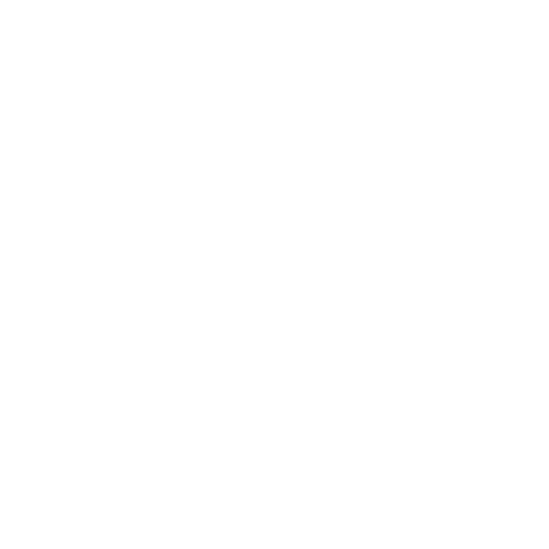 Timer Icon