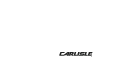 Lion Precision-Fußzeilenlogo